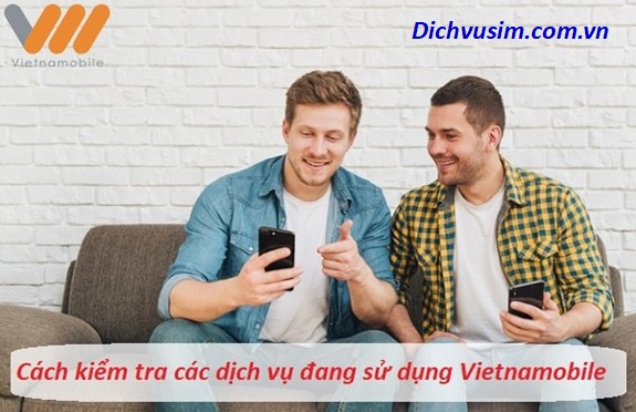 Cách kiểm tra gói vietnamobile đang dùng  dịch vụ sim  chia sẻ kiến thức điện máy việt nam
